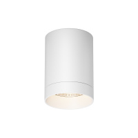 Уличный потолочный светодиодный светильник Maytoni Luxe O500CL-L10W3K