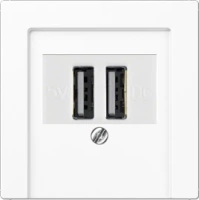 usb розетка | зарядка Jung 260209+A569PLTWW