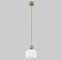 Подвесной светильник со стеклянным плафоном TK Lighting 11049 Ballo