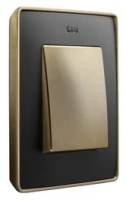 Рамка 1-пост Графит- Латунь Simon 82 Detail Select 8201610-247