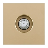 Накладка розетки TV, Золотой бархат Brionilux серия G Plast (GPN020GD)