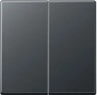 Выключатель двухклавишный Jung eco profi EP405U+EP495AN