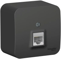 Розетка компьютерная RJ45 с изолирующей пластиной Systeme Electric Blanca BLNIA045006, Антрацит