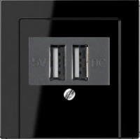 usb зарядка | розетка Jung 260205+A569PLTSW