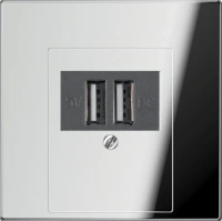 usb зарядка | розетка Jung LS990 260205+GCR2969T