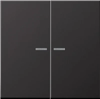 Выключатель двухклавишный с подсветкой Jung LS990 505U5+AL2995KO5D