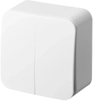 Двухклавишный выключатель, накладного монтажа Jasmart FS3023W