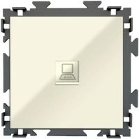 Розетка интернет RJ45 CGSS цв. бежевый PL-W201C-BGG