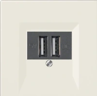 usb зарядка | розетка Jung LS990 260205+LS969T
