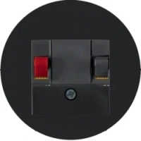 Аудио розетка моно 457205 | 10382045 Berker