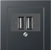 usb зарядка | розетка Jung 260205+A569BFPLTANM