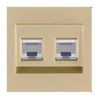 Накладка двойной розетки Ethernet RJ45 Cat.6, Золотой бархат Brionilux серия G Plast (GPN018GD)