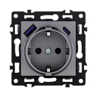 Розетка штепсельная 16A/250 В с USB A+C 20W, серый бархат Brionilux серия G (GP016GY)