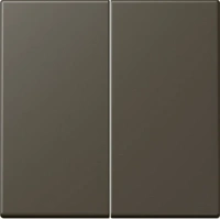 Выключатель двухклавишный Jung ombre naturelle 31 505U+LC99532140