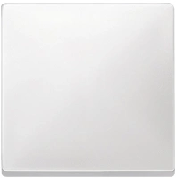 Клавиша Х1 Merten Antique Schneider Electric MTN412119, полярно-белый