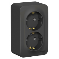 Розетка двойная с заземляющим контактом без шторок с изолирующей пластиной 16A 250В Systeme Electric Blanca BLNRA010216, Антрацит