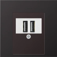 usb розетка | зарядка Jung LS990 260209+AL2969TD