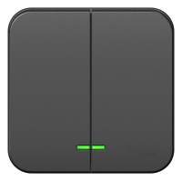 Двухклавишный выключатель с подсветкой с изолирующей пластиной 10А 250В Systeme Electric Blanca BLNVA105116, Антрацит