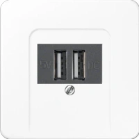 usb зарядка | розетка Jung CD500 260205+CD569TWW