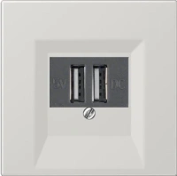 usb зарядка | розетка Jung LS990 260205+LS969TLG