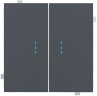 Выключатель двухклавишный с подсветкой Rikett Базальт 32061+35612 BT + 2х32019