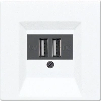 usb зарядка | розетка Jung LS990 260205+LS969TWW