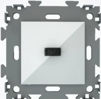 Розетка USB CGSS цв. белый GL-W201U-WCM