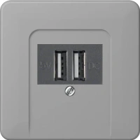 usb зарядка | розетка Jung CD500 260205+CD569TGR