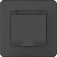 Розетка Systeme Electric Blanca С/У IP44 с заземлением со шторками, с крышкой, 16А, 250В, АНТРАЦИТ BLNRS441116