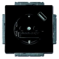 Розетка 220v с usb 1 портом антрацит ABB Dynasty 2CKA002011A6176