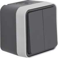 Двухклавишная кнопка Berker W.1, цвет: серый, 50753515