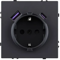 Розетка штепсельная 16A/250 В с USB A+C 20W, черный бархат Brionilux серия Z (ZG016BK)