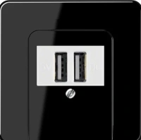 usb розетка | зарядка Jung CD500 260209+CD569TSW