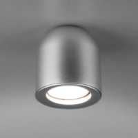Накладной потолочный светильник Elektrostandard DLN116 GU10