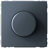 Светорегулятор (диммер) поворотно-нажимной Systeme Electric ArtGallery, LED, RC, 400Вт, грифель  GAL000723