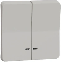 Двойная клавиша с линзой подсветки, IP55 Mureva Styl Schneider Electric MUR39205, белый