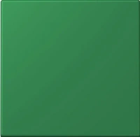 Выключатель одноклавишный Jung vert foncé 501U+LC99032050