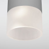 Уличный потолочный светильник Light LED 2106 IP54 Elektrostandard 35139/H серый
