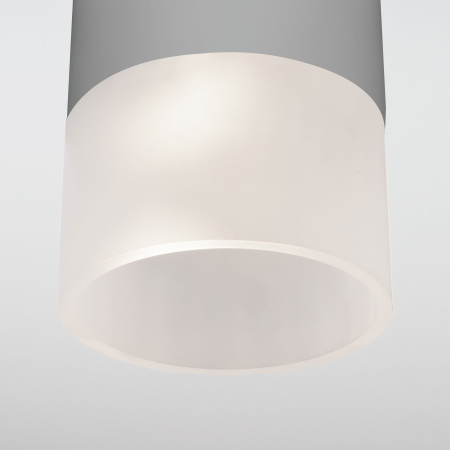 Уличный потолочный светильник Light LED 2106 IP54 Elektrostandard 35139/H серый