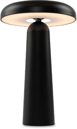 Настольная лампа светодиодная Freya Mushroom FR6109TL-L4B
