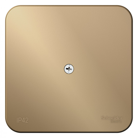 BLNRK000014 Systeme Electric Schneider Blanca накладной монтаж цвет титан