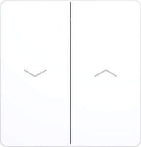 FSE000119 Systeme Electric Infinity цвет Арктический лед