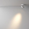 Потолочный светильник светодиодный Maytoni Magic C022CL-L12W