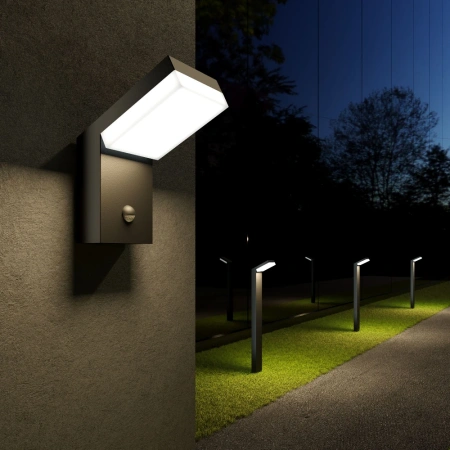 Ландшафтный светодиодный светильник Sensor IP54 Elektrostandard 1542 TECHNO LED черный