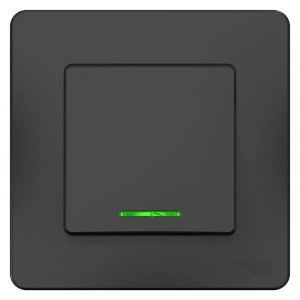 BLNVS010616 Systeme Electric Schneider Blanca цвет антрацит