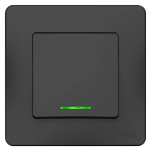 BLNVS010116 Systeme Electric Schneider Blanca цвет антрацит