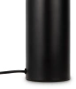 Настольная лампа Freya Eleon FR5218TL-02B1