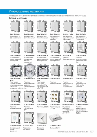 AL-P101-WCM CGSS Рамки CGSS