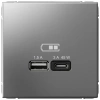 Высокоскоростная розетка USB А+С Systeme Electric ArtGallery сталь GAL000929