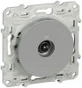 Розетка TV Odace Schneider Electric алюминий S53R445